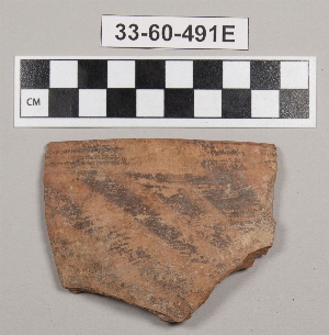 33-60-491E