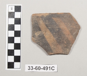 33-60-491C
