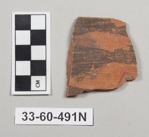 33-60-491N