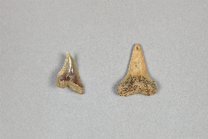 CG920619-2530