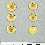 845540