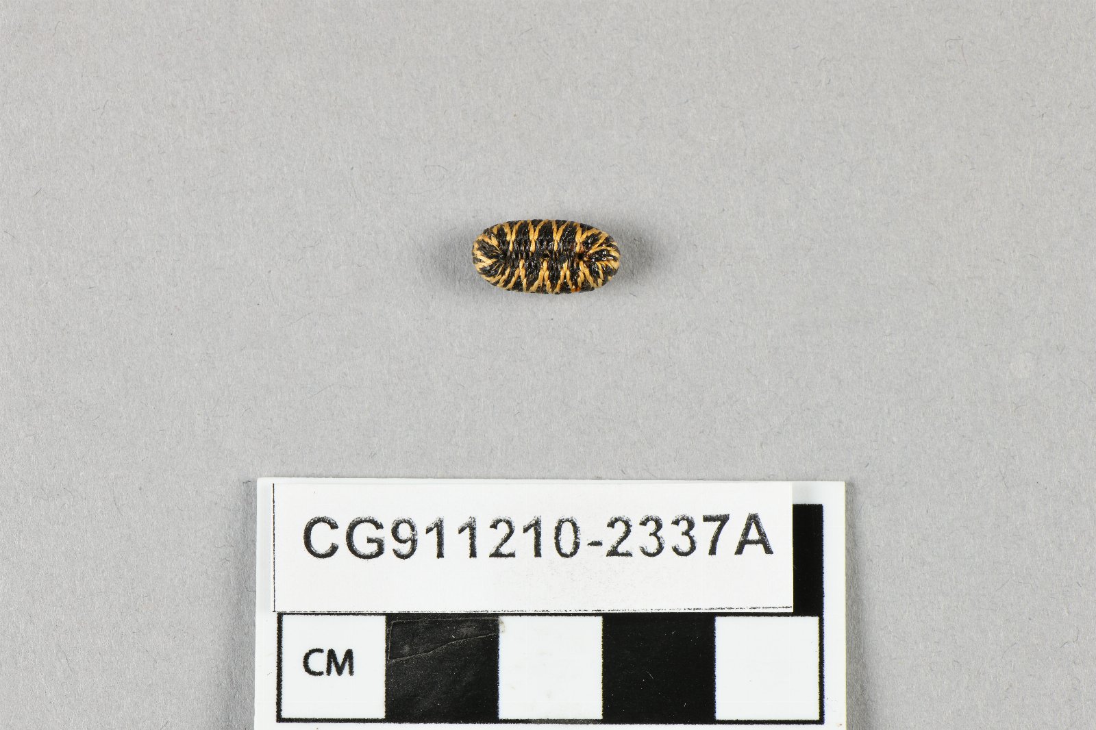 845856