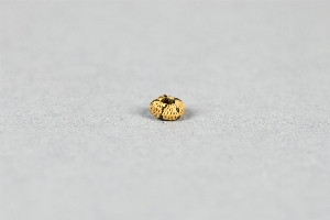 NA8213A