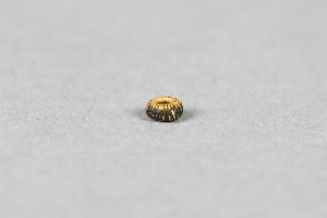 NA8213B