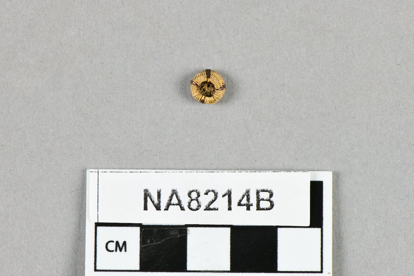 845920