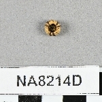 845928
