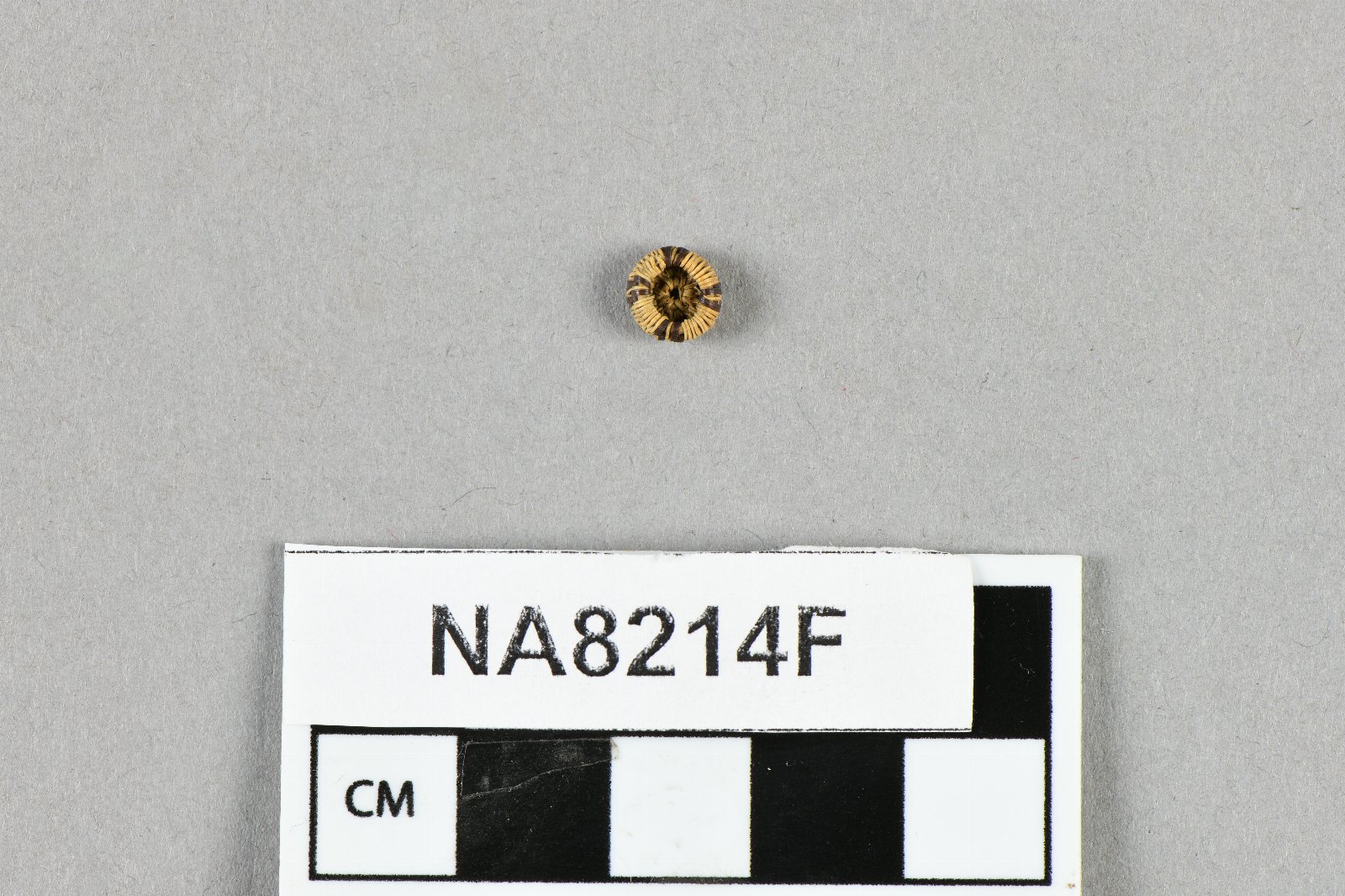 845936