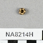 845944
