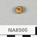 846025