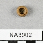 846028