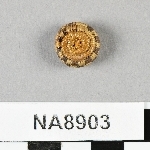 846033