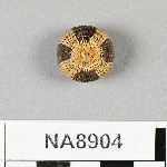 846037