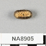 846041