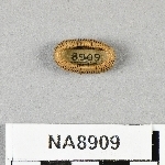 846055