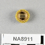 846066