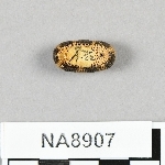 847622