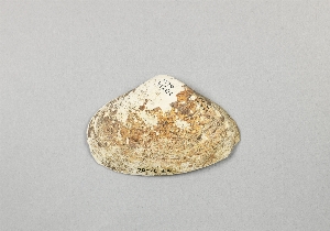41201