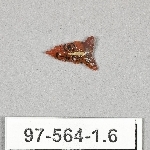 849418
