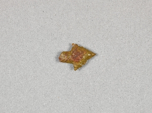 97-564-1.19