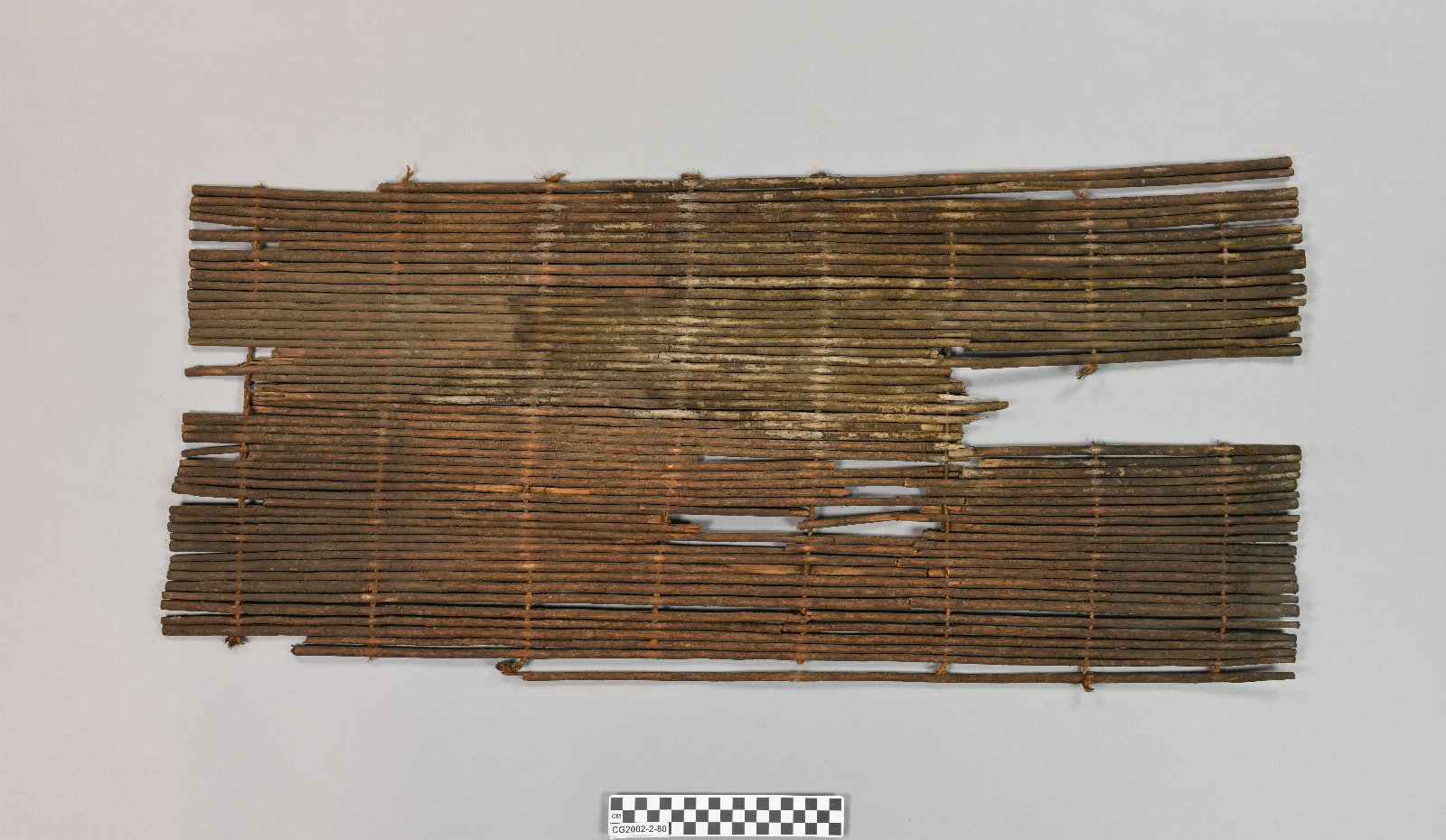 850029
