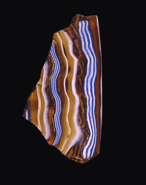 MS5386.2