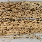 850376