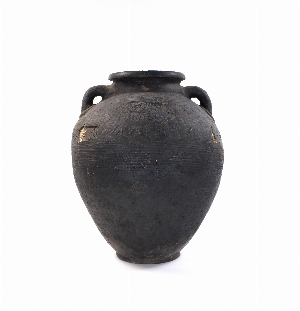MS3419