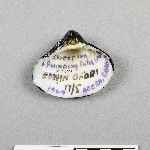 854817