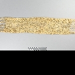 856081