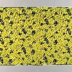 856556