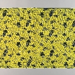 856557