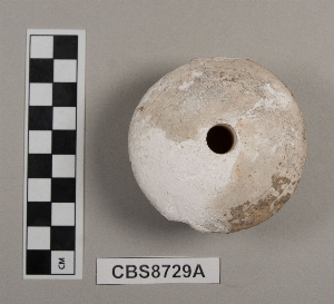 CBS8729A