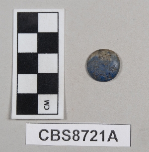 CBS8721A