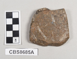 CBS8685A