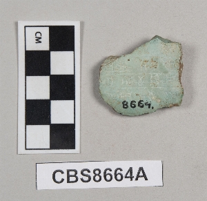 CBS8664A