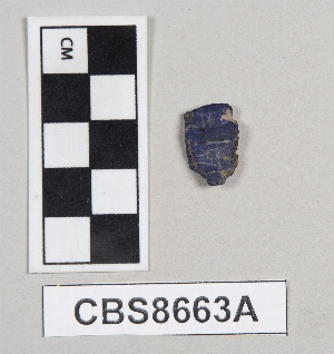 CBS8663A