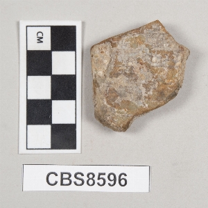 CBS8596
