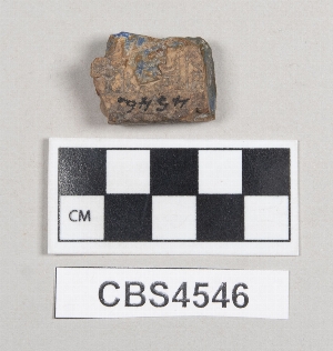 CBS4546