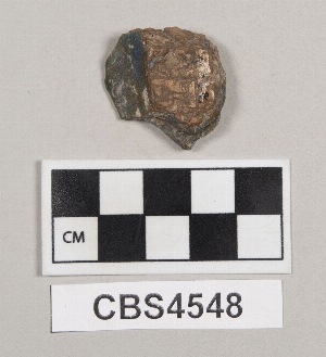 CBS4548