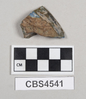 CBS4541