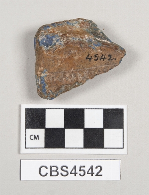 CBS4542