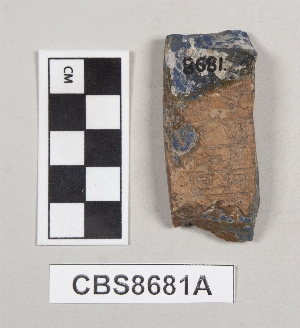 CBS8681A