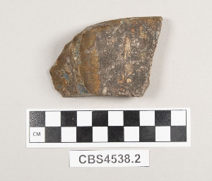 CBS4538.2
