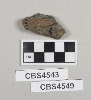 CBS4549