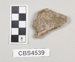 CBS4539
