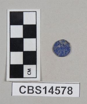 CBS14578