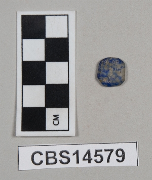 CBS14579