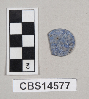 CBS14577