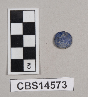 CBS14573