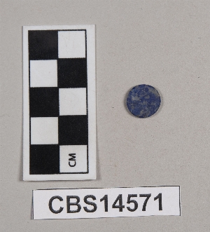 CBS14571